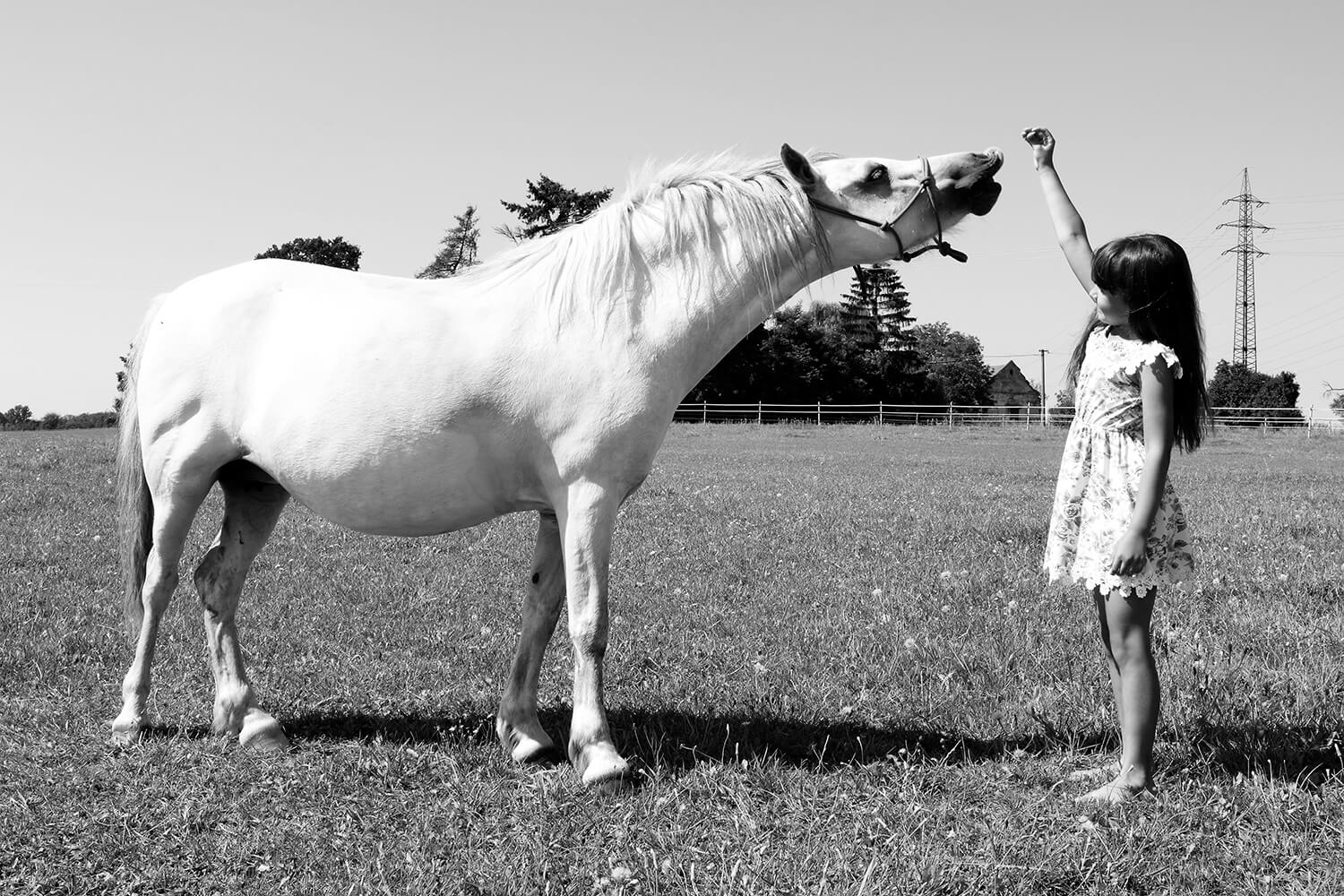 black and white family photo of a little girl with a horse in nature